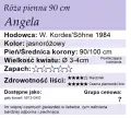 Angela.png