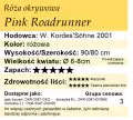 Pink Roadrunner.png