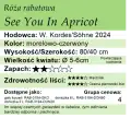 See You In Apricot.png