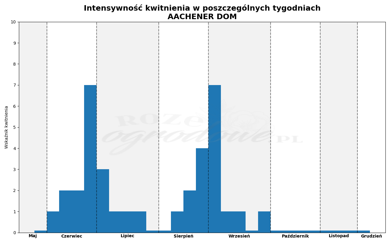 Wykres kwitnienia zrobiony na podstawie obserwacji 3-letnich krzewów w sezonie 2025 w Więckowicach w gminie Wojnicz.