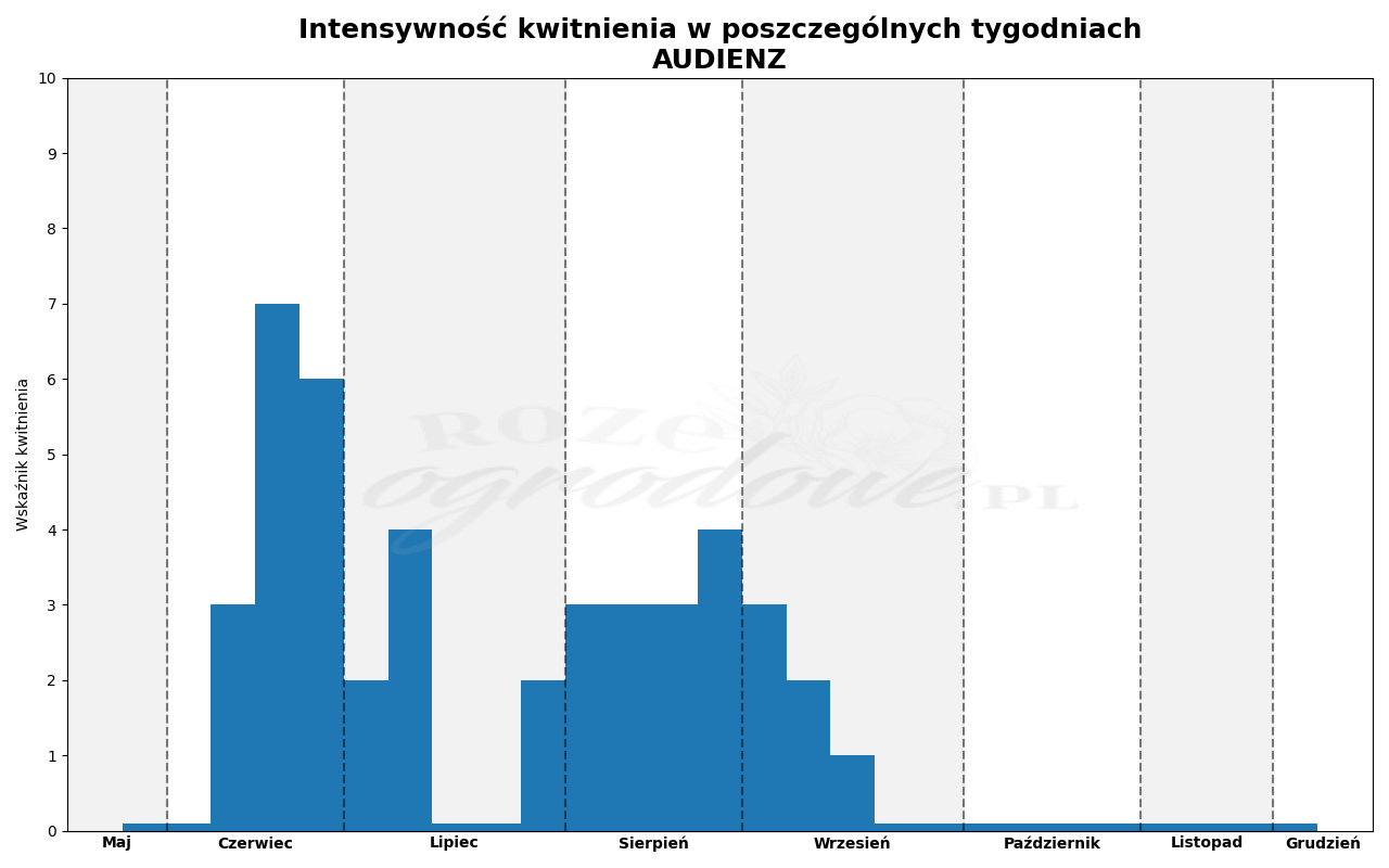 Wykres kwitnienia zrobiony na podstawie obserwacji 3-letnich krzewów w sezonie 2025 w Więckowicach w gminie Wojnicz.