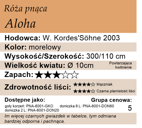 cechy róży pnącej Aloha