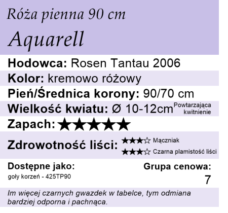 cechy róży Aquarell