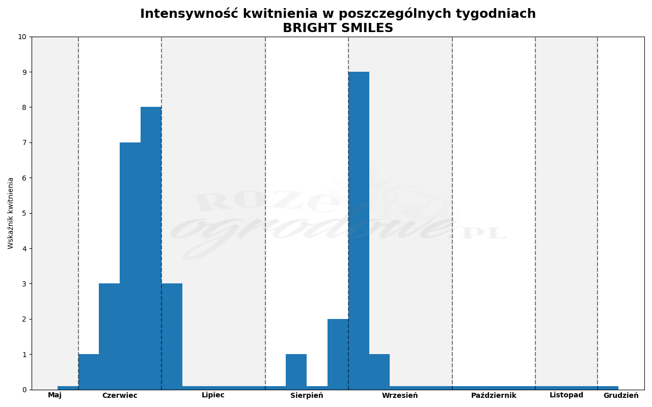 Wykres kwitnienia zrobiony na podstawie obserwacji 3-letnich krzewów w sezonie 2025 w Więckowicach w gminie Wojnicz.