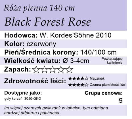 cechy róży piennej Black Forest Rose