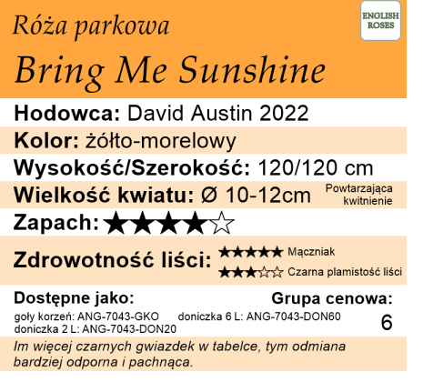 Cechy róży Bring Me Sunshine
