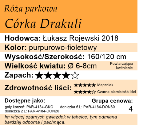 Cechy róży parkowej Córka Drakuli