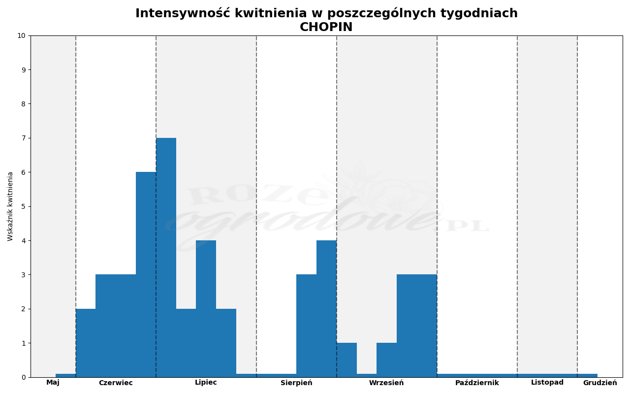 Wykres kwitnienia zrobiony na podstawie obserwacji 3-letnich krzewów w sezonie 2025 w Więckowicach w gminie Wojnicz.