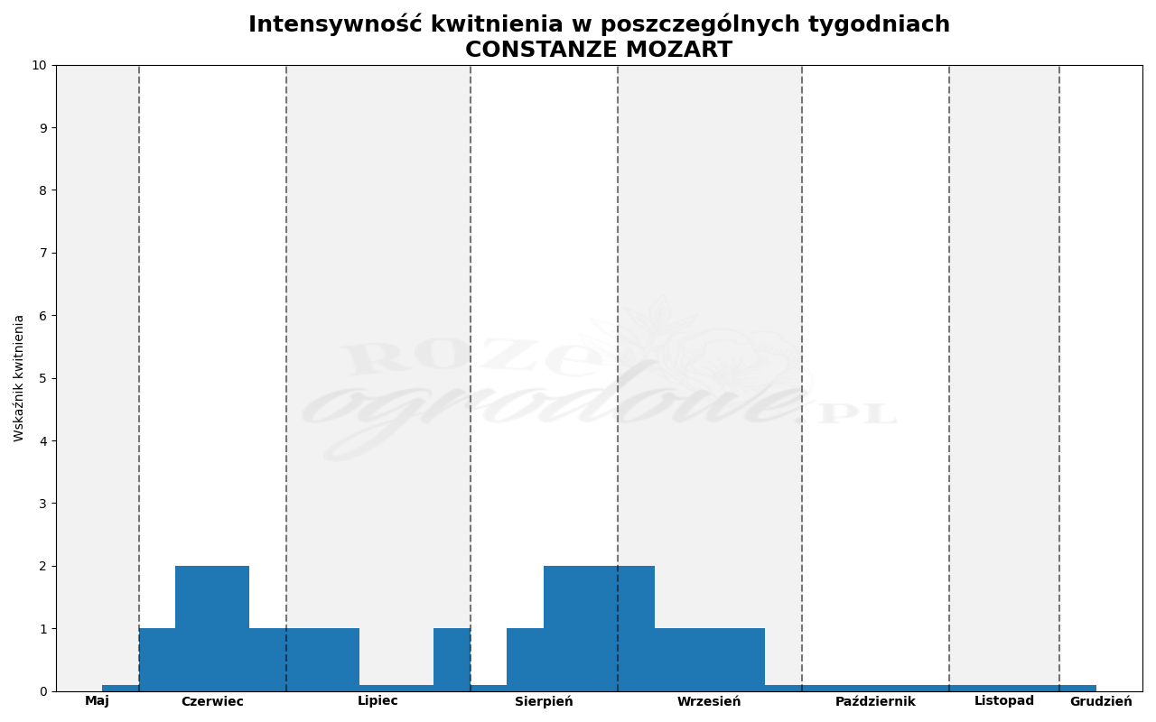 Wykres kwitnienia zrobiony na podstawie obserwacji 3-letnich krzewów w sezonie 2025 w Więckowicach w gminie Wojnicz.