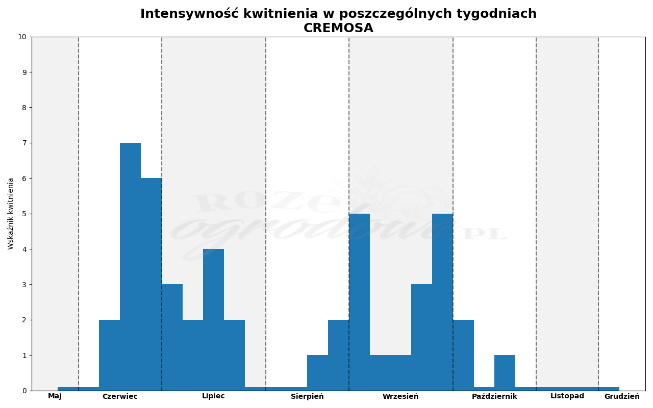 Wykres kwitnienia zrobiony na podstawie obserwacji 3-letnich krzewów w sezonie 2025 w Więckowicach w gminie Wojnicz.