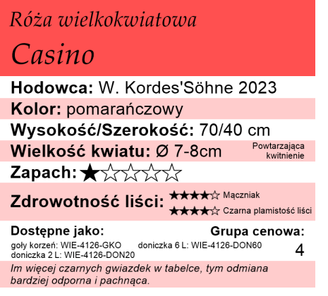 Cechy róży wielkokwiatowej Casino