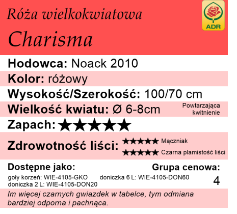 Cechy róży wielkokwiatowej Charisma