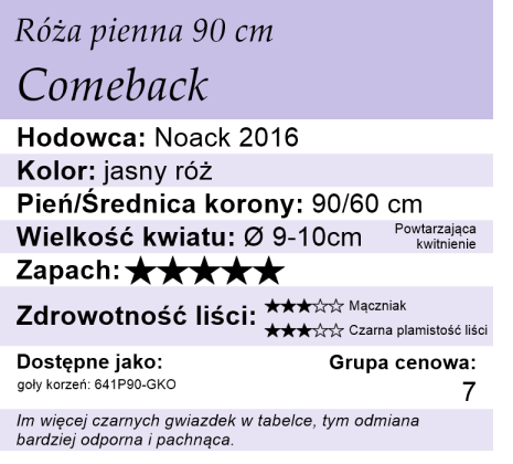 cechy róży Piennej Comeback