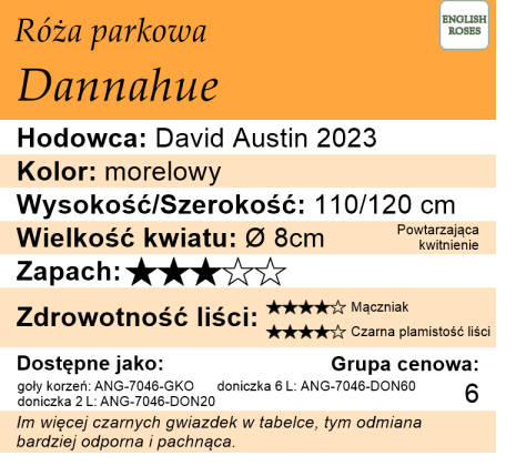 Cechy róży Dannahue