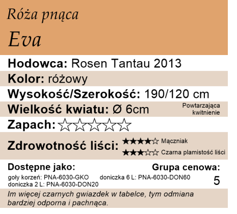 Cechy róży pnącej Eva