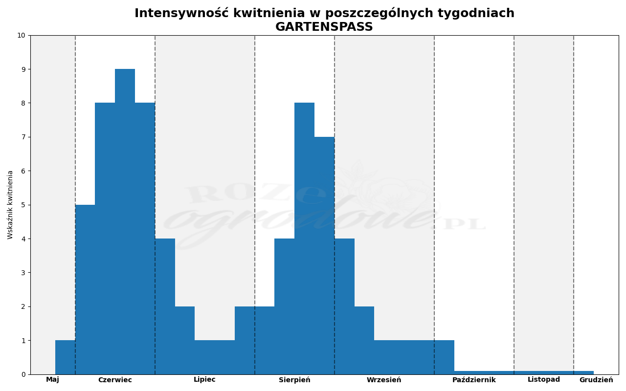 Wykres kwitnienia zrobiony na podstawie obserwacji 3-letnich krzewów w sezonie 2025 w Więckowicach w gminie Wojnicz.