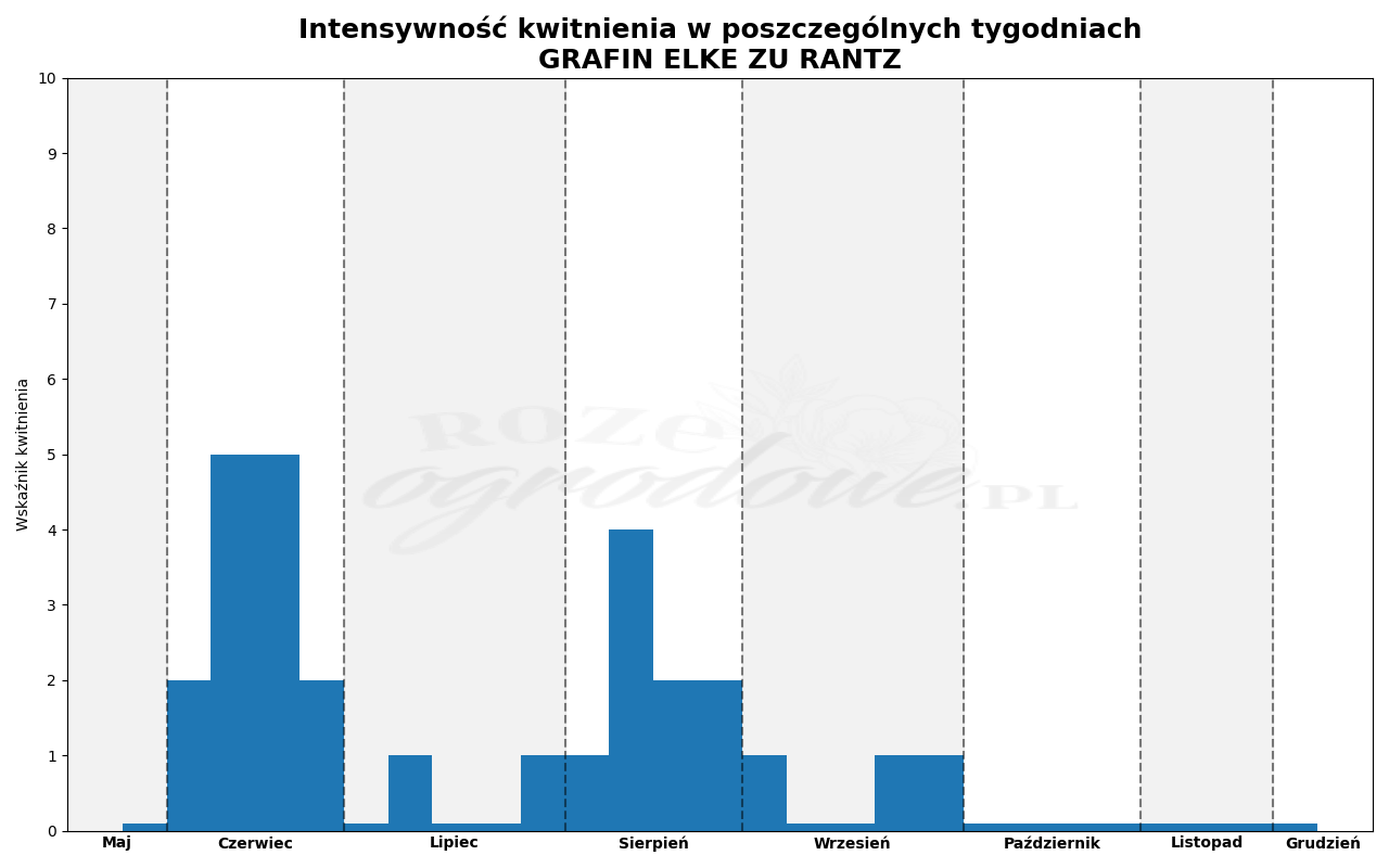 Wykres kwitnienia zrobiony na podstawie obserwacji 3-letnich krzewów w sezonie 2025 w Więckowicach w gminie Wojnicz.