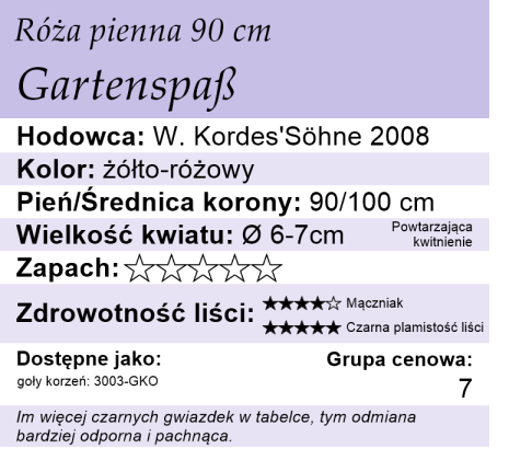 cechy róży Gartenspass