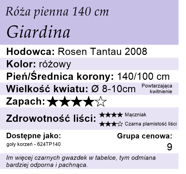 cechy róży pnącej Giardina