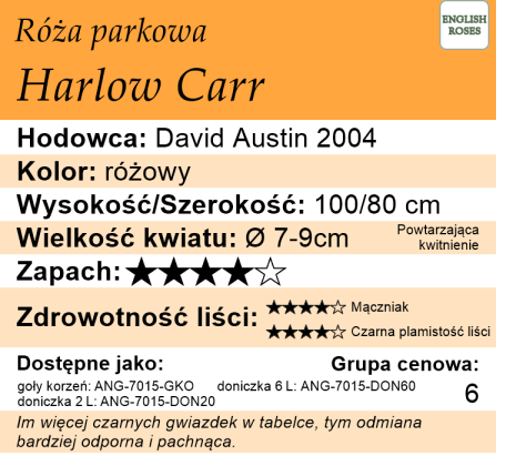 Cechy róży parkowej Harlow Carr
