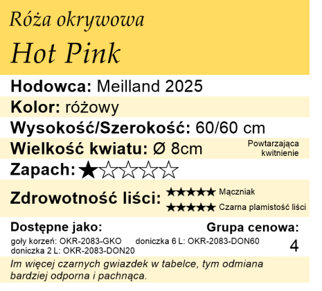 Cechy róży okrywowej Hot Pink