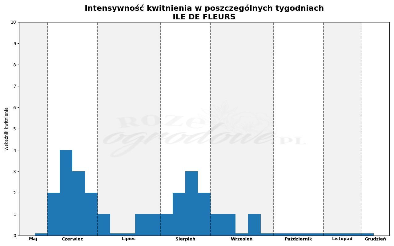 Wykres kwitnienia zrobiony na podstawie obserwacji 3-letnich krzewów w sezonie 2025 w Więckowicach w gminie Wojnicz.