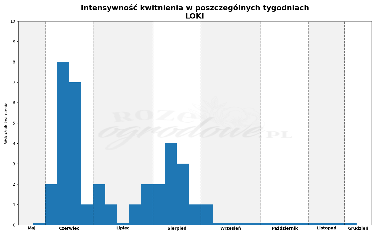 Wykres kwitnienia zrobiony na podstawie obserwacji 3-letnich krzewów w sezonie 2025 w Więckowicach w gminie Wojnicz.