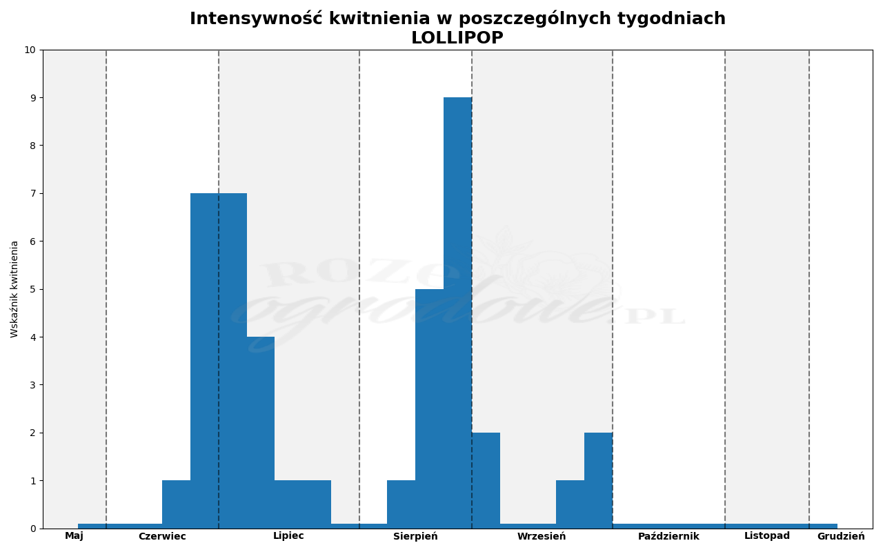 Wykres kwitnienia zrobiony na podstawie obserwacji 3-letnich krzewów w sezonie 2025 w Więckowicach w gminie Wojnicz.