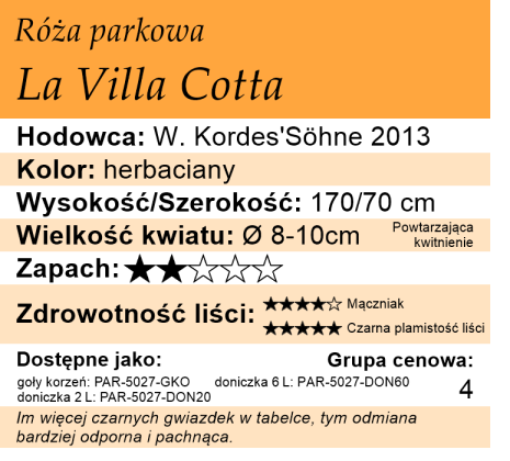 Cechy róży parkowej La Villa Cotta