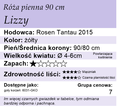 cechy róży piennej Lizzy