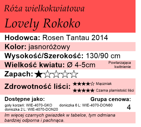 Cechy róży wielkokwiatowej Lovely Rokoko