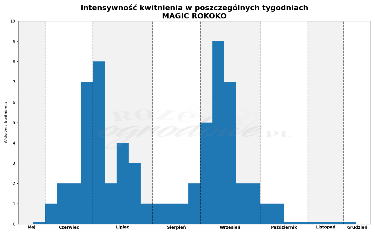 Wykres kwitnienia zrobiony na podstawie obserwacji 3-letnich krzewów w sezonie 2025 w Więckowicach w gminie Wojnicz.