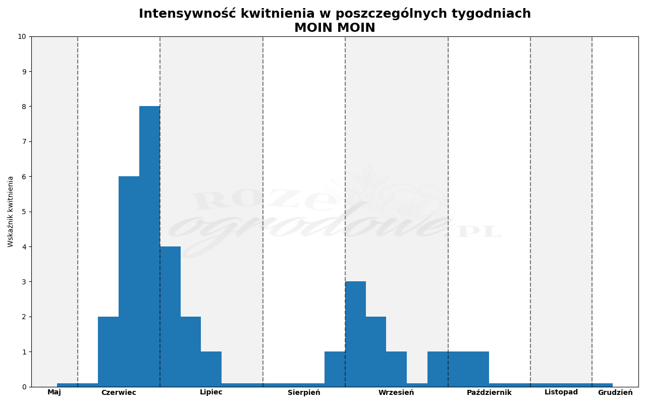 Wykres kwitnienia zrobiony na podstawie obserwacji 3-letnich krzewów w sezonie 2025 w Więckowicach w gminie Wojnicz.