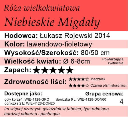Cechy róży wielkokwiatowej Niebieskie Migdały