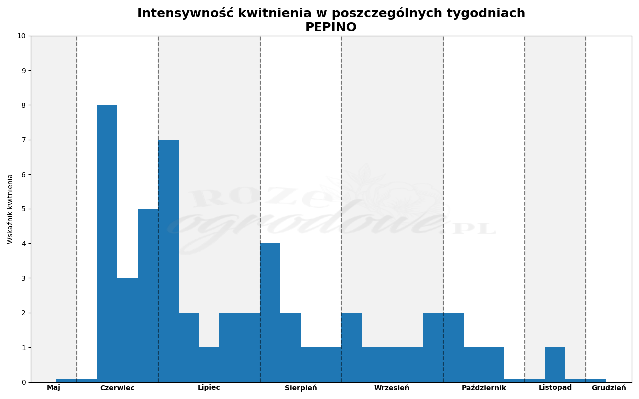 Wykres kwitnienia zrobiony na podstawie obserwacji 3-letnich krzewów w sezonie 2025 w Więckowicach w gminie Wojnicz.
