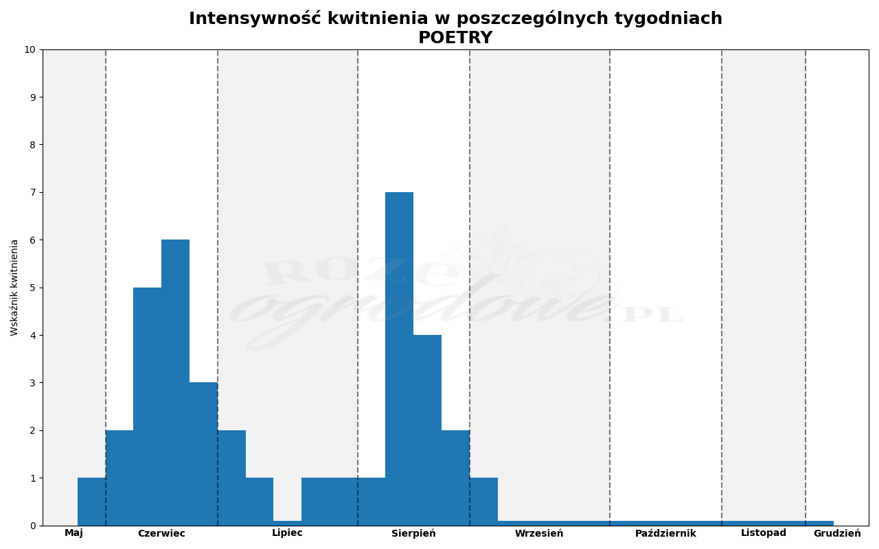 Wykres kwitnienia zrobiony na podstawie obserwacji 3-letnich krzewów w sezonie 2025 w Więckowicach w gminie Wojnicz.
