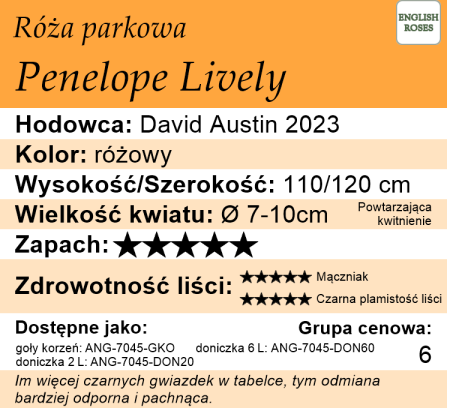 Cechy róży parkowej Penelope Lively