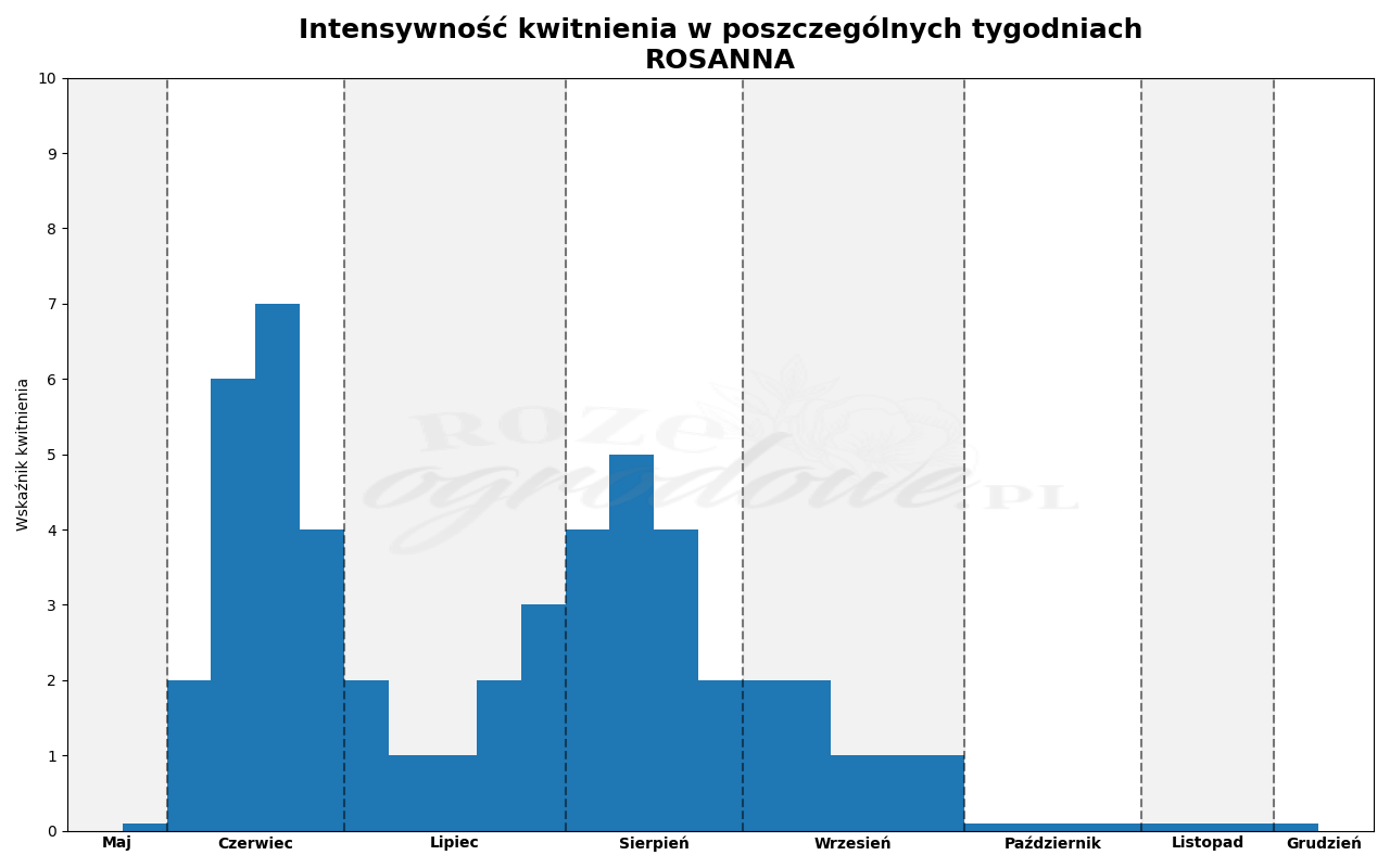 wykres kwitnienia róży pnącej Rosanna