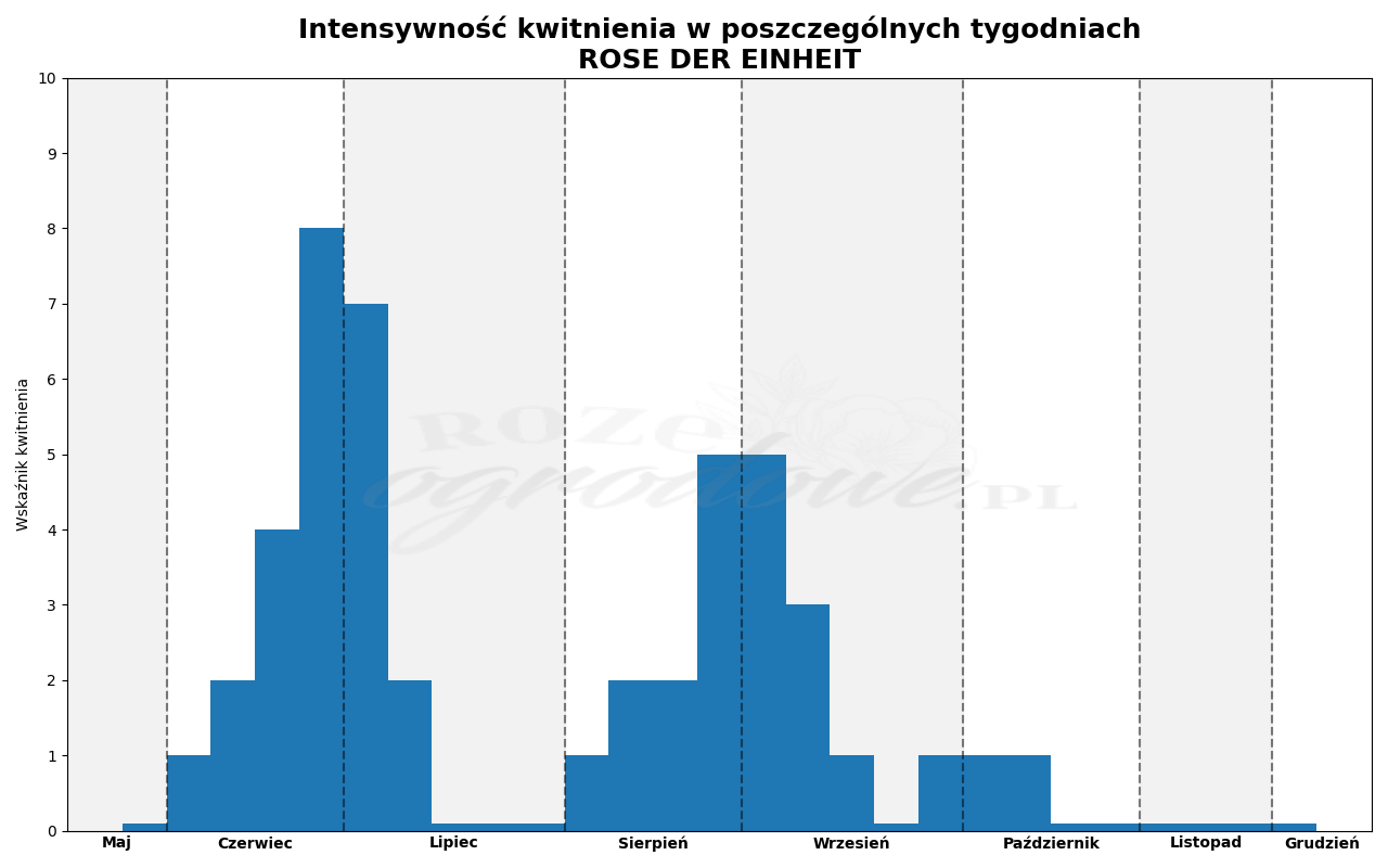 Wykres kwitnienia zrobiony na podstawie obserwacji 3-letnich krzewów w sezonie 2025 w Więckowicach w gminie Wojnicz.