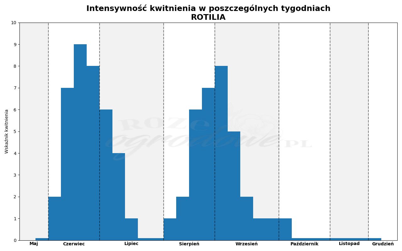 Wykres kwitnienia zrobiony na podstawie obserwacji 3-letnich krzewów w sezonie 2025 w Więckowicach w gminie Wojnicz.