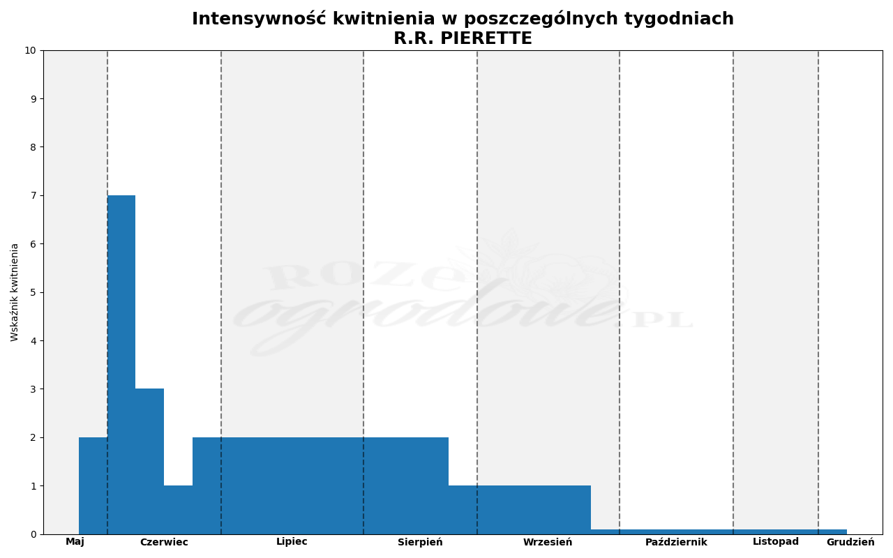 wykres kwitnienia róży r.r. pierette