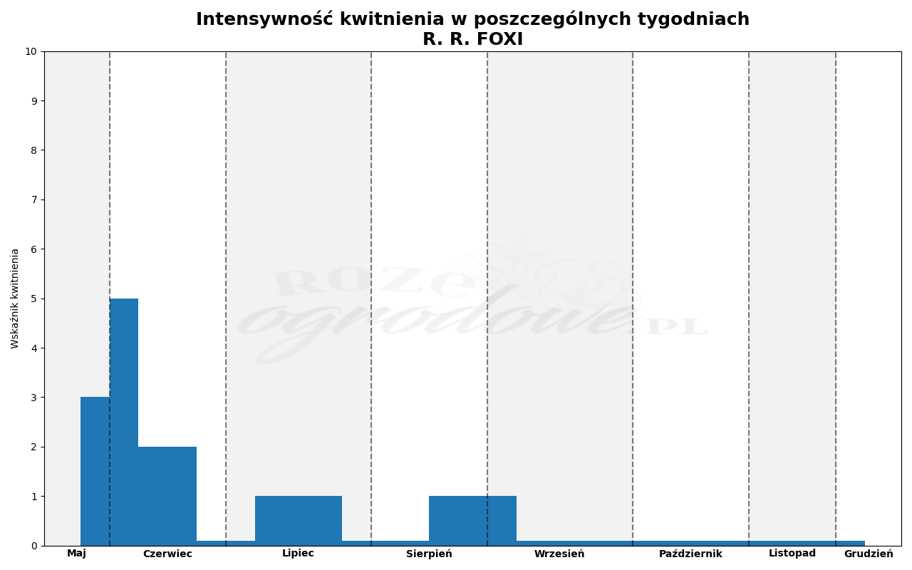 wykres kwitnienia róży r. r. foxi