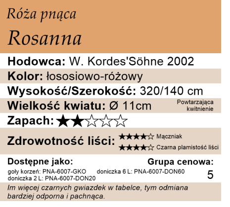 cechy róży Rosanna