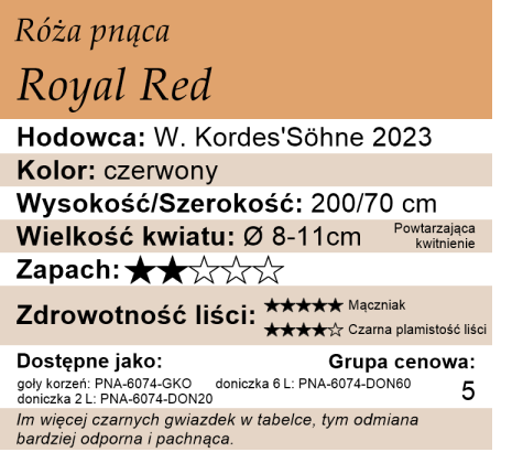 Cechy róży pnącej Royal Red