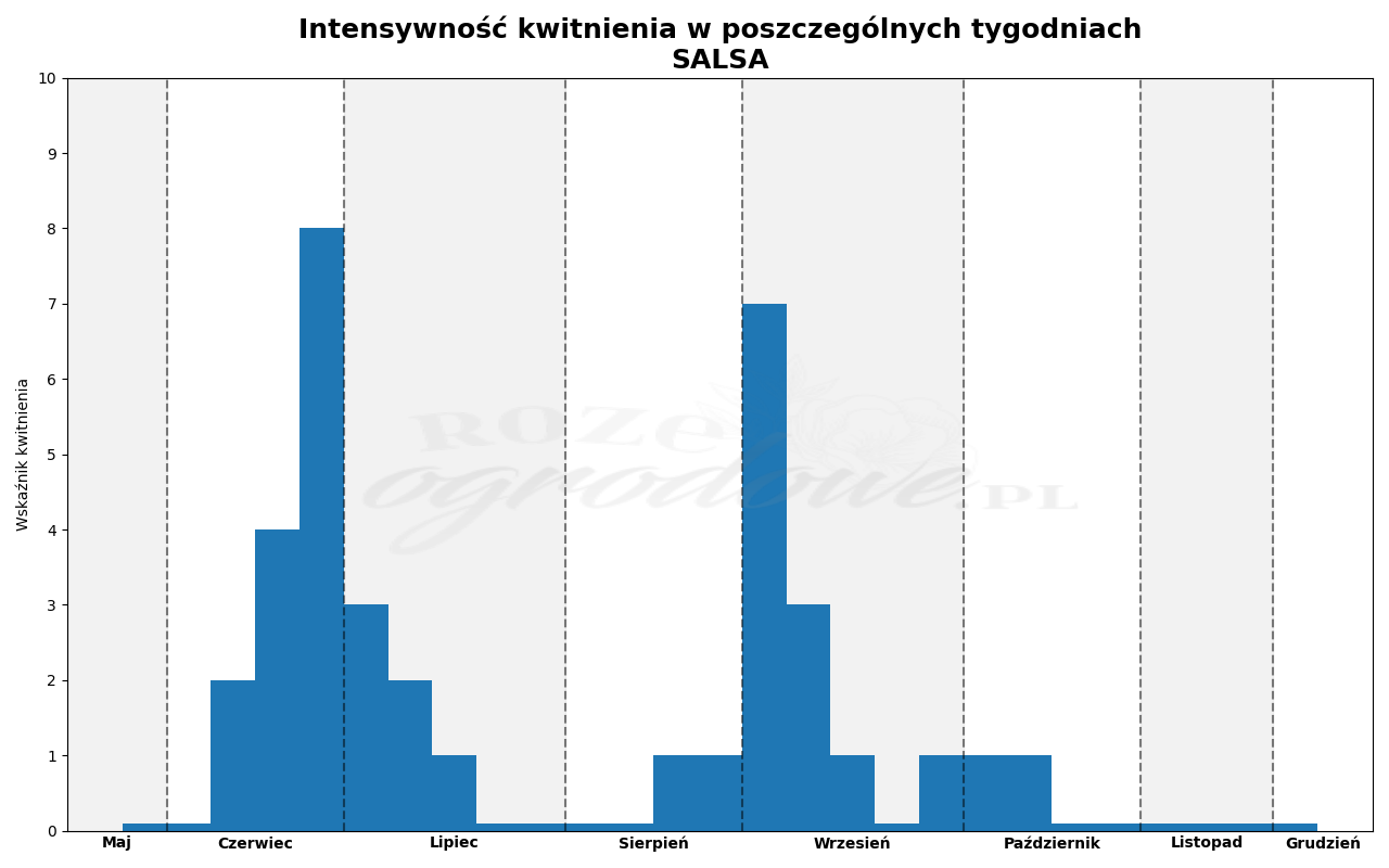 wykres kwitnienia róży salsa