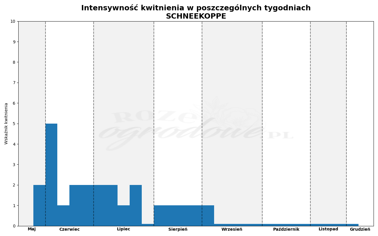 wykres kwitnienia schneekoppe