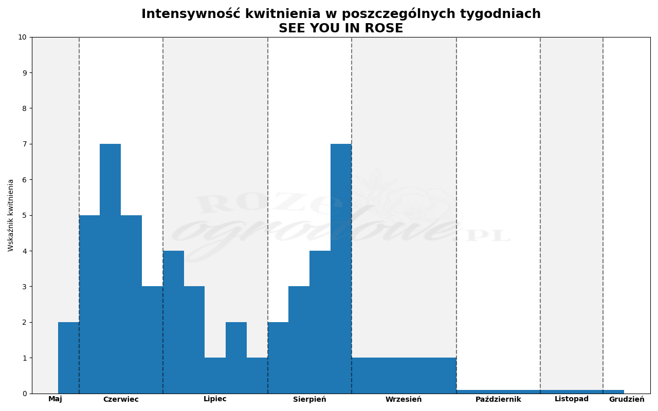 Wykres kwitnienia zrobiony na podstawie obserwacji 3-letnich krzewów w sezonie 2025 w Więckowicach w gminie Wojnicz.