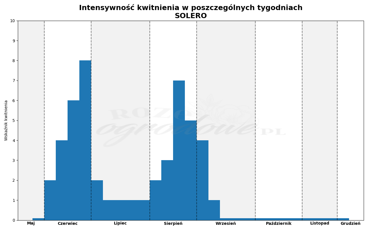 Wykres kwitnienia zrobiony na podstawie obserwacji 3-letnich krzewów w sezonie 2025 w Więckowicach w gminie Wojnicz.