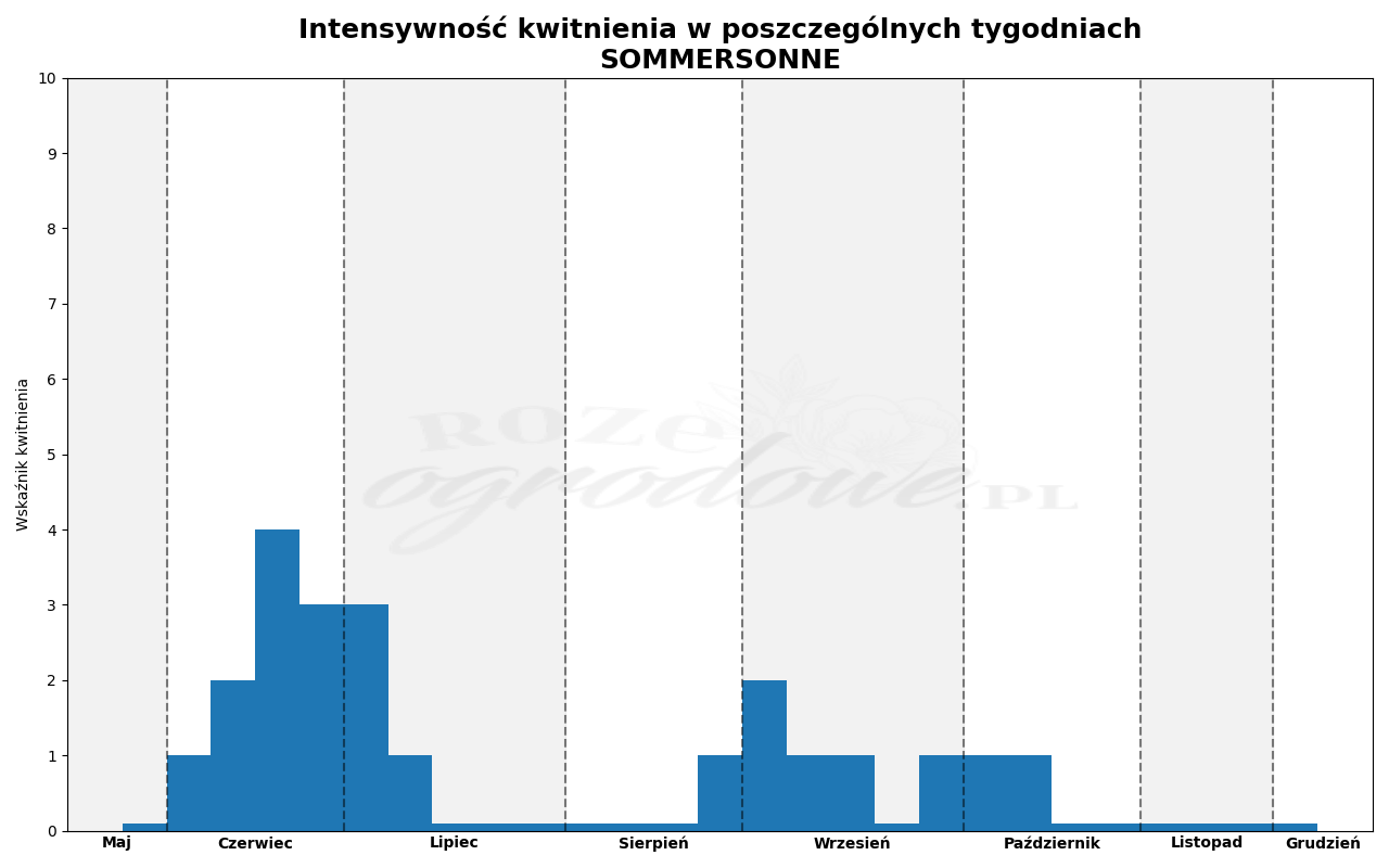 Wykres kwitnienia zrobiony na podstawie obserwacji 3-letnich krzewów w sezonie 2025 w Więckowicach w gminie Wojnicz.