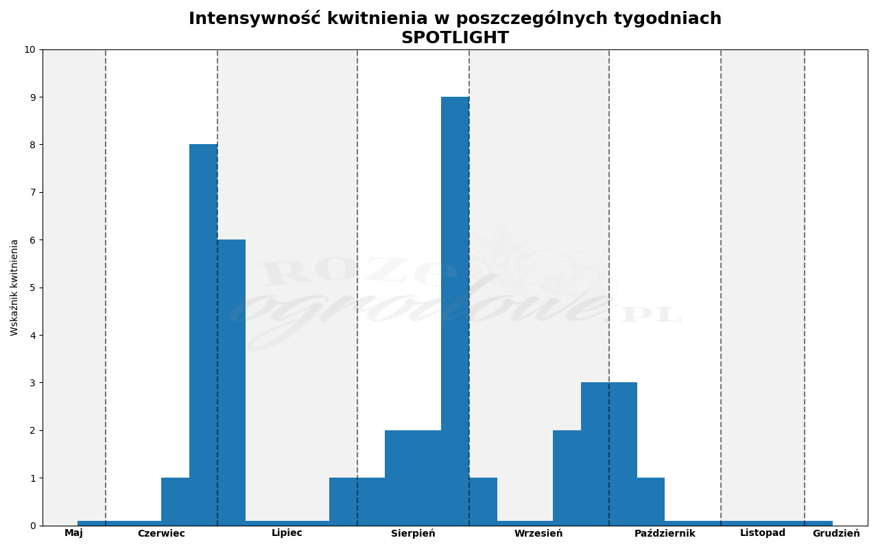 Wykres kwitnienia zrobiony na podstawie obserwacji 3-letnich krzewów w sezonie 2025 w Więckowicach w gminie Wojnicz.